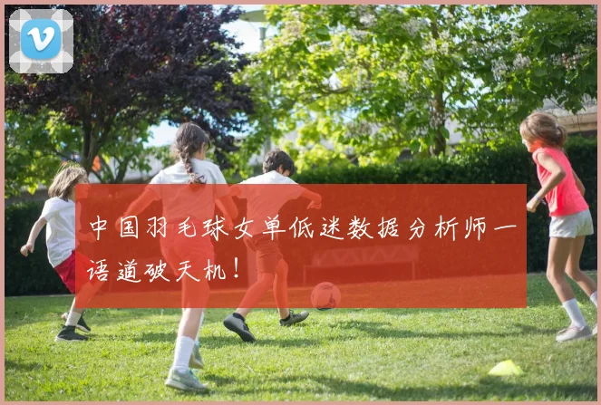 中国羽毛球女单低迷数据分析师一语道破天机！