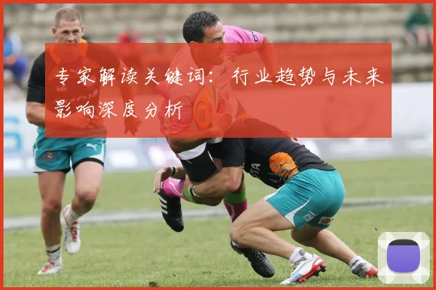 专家解读关键词：行业趋势与未来影响深度分析
